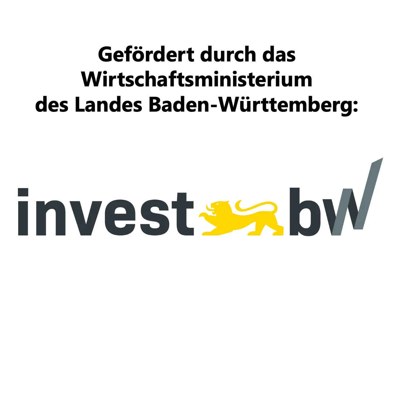 Gefördert durch das Wirtschaftsministerium des Landes Baden-Württemberg